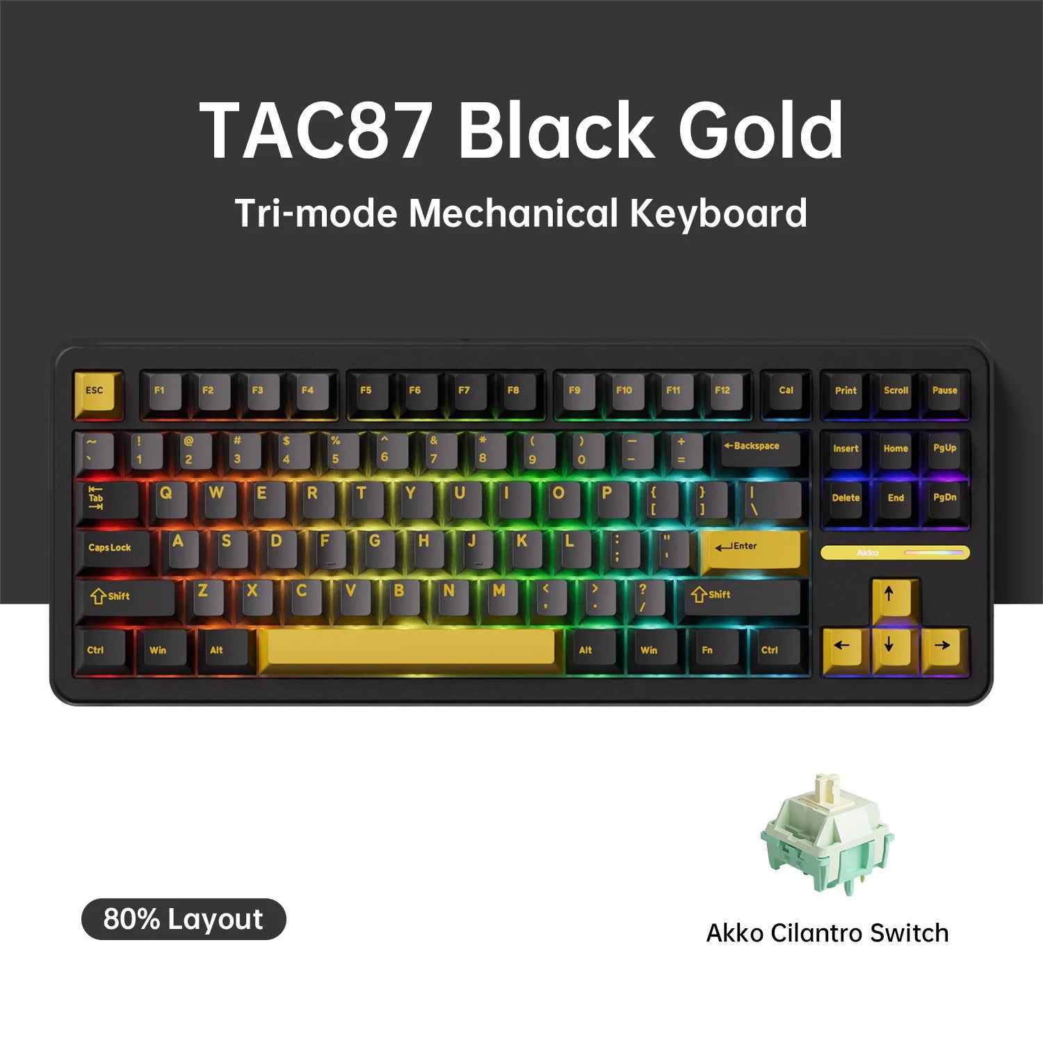 Akko TAC87 Mechanical Keyboard 80% TKL Hot-swap RGB USB Wired/2.4G&BT Wireless 10000mAh Gaming PC Keyboard Gasket Mount