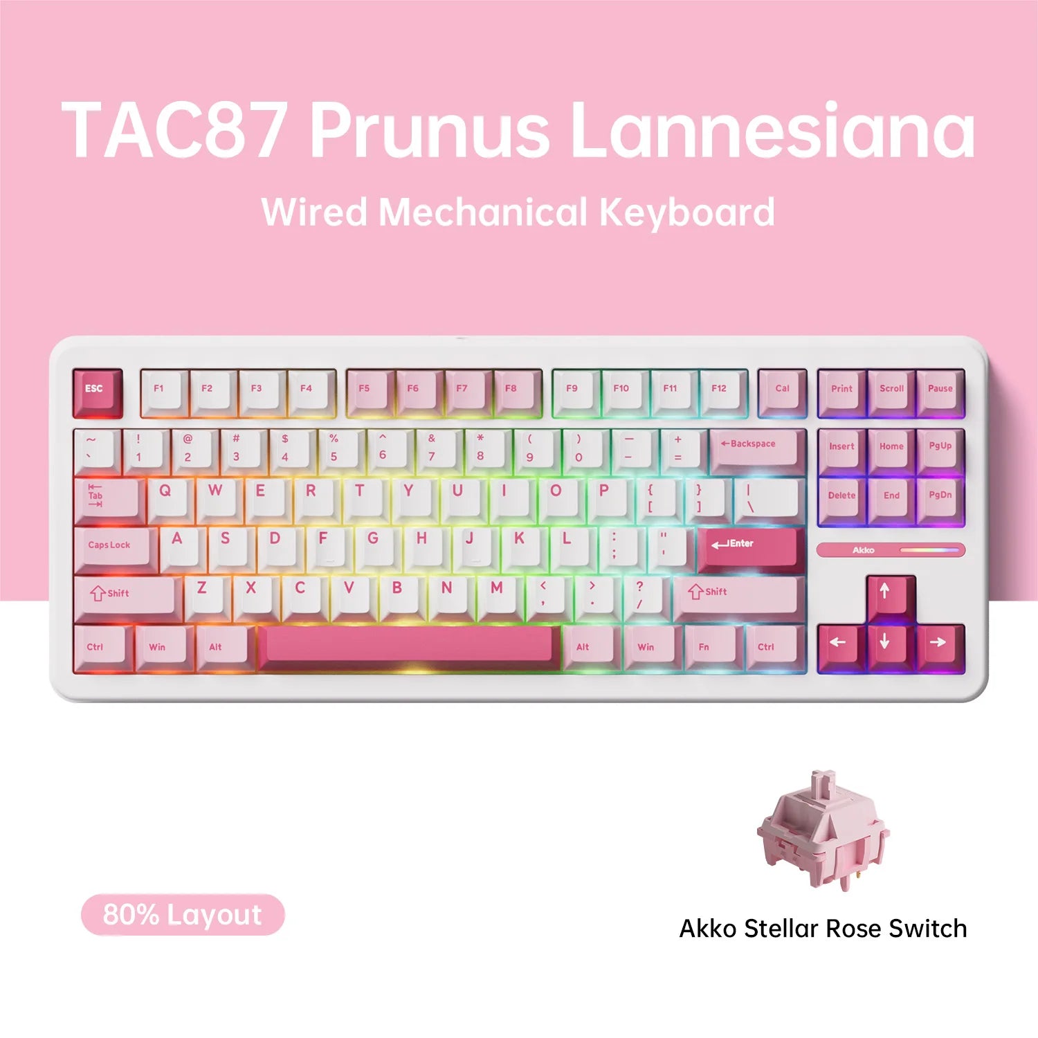 Akko TAC87 Mechanical Keyboard 80% TKL Hot-swap RGB USB Wired/2.4G&BT Wireless 10000mAh Gaming PC Keyboard Gasket Mount