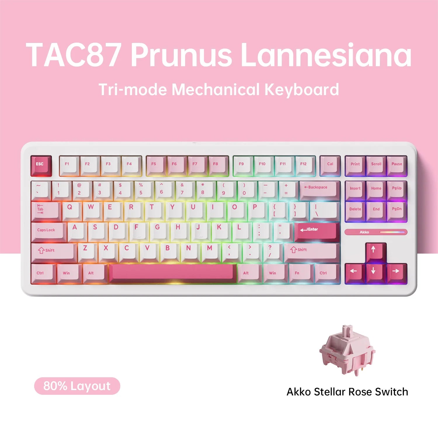 Akko TAC87 Mechanical Keyboard 80% TKL Hot-swap RGB USB Wired/2.4G&BT Wireless 10000mAh Gaming PC Keyboard Gasket Mount